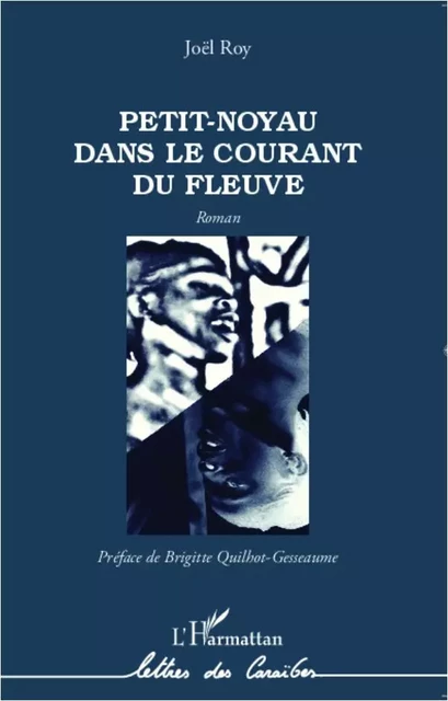 Petit-Noyau dans le courant du fleuve - Joël Roy - Editions L'Harmattan