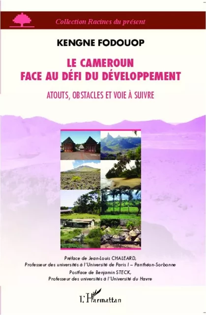 Le Cameroun face au défi du développement - Kengne Fodouop - Editions L'Harmattan