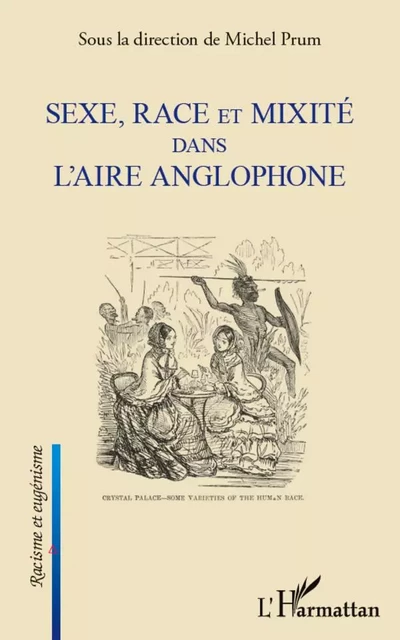 Sexe, race et mixité dans l'aire anglophone - Michel Prum - Editions L'Harmattan