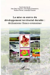 La mise en oeuvre du développement territorial durable :