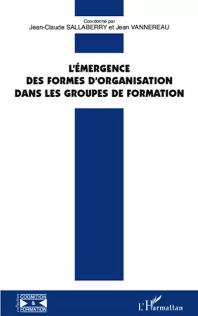 L'émergence des formes d'organisation dans les groupes de formation - Jean-Claude Sallaberry, Jean Vannereau - Editions L'Harmattan