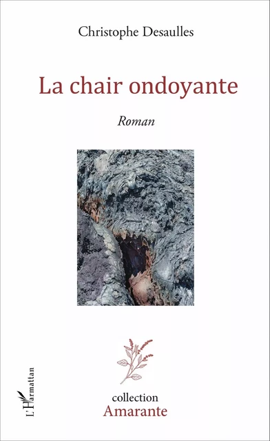 La chair ondoyante - Christophe Desaulles - Editions L'Harmattan