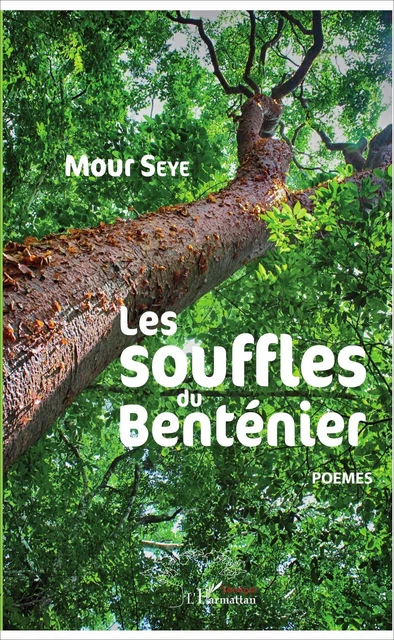 Les souffles du Benténier - Mour Seye - Editions L'Harmattan