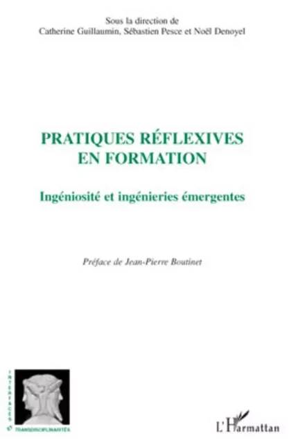 Pratiques réflexives en formation - Noël Denoyel, Sébastien Pesce, Catherine Guillaumin - Editions L'Harmattan