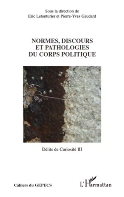 Normes, discours et pathologies du corps politiques - Eric Letonturier - Editions L'Harmattan