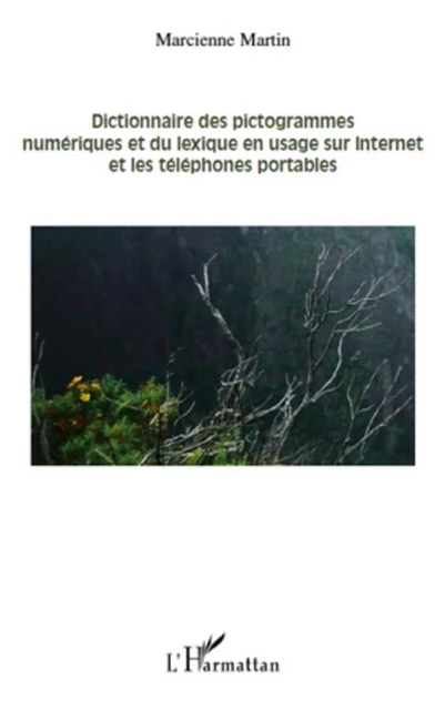 Dictionnaire des pictogrammes numériques et du lexique en usage sur internet et les téléphones portables - Marcienne Martin - Editions L'Harmattan