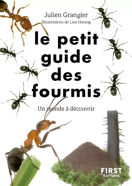 Le Petit guide des fourmis - Julien Grangier - edi8