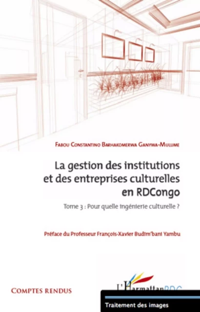 La gestion des institutions et des entreprises culturelles en RDCongo (tome 3) - Barhakomerwa Ganywa-Mulume Fabou - Editions L'Harmattan