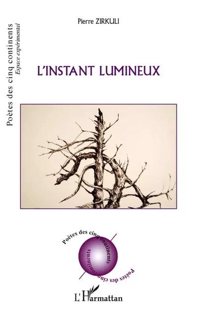 L'instant lumineux - Pierre Zirkuli - Editions L'Harmattan