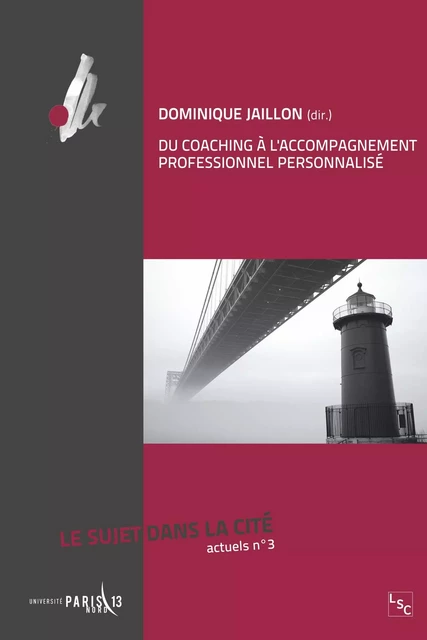 Du coaching à l'accompagnement professionnel personnalisé - Dominique Jaillon - Téraèdre