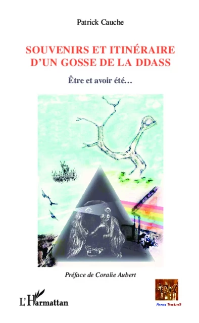 Souvenirs et itinéraire d'un gosse de la DDASS - Patrick Cauche - Editions L'Harmattan