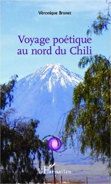 Voyage poétique au nord du Chili - Véronique Brunet - Editions L'Harmattan