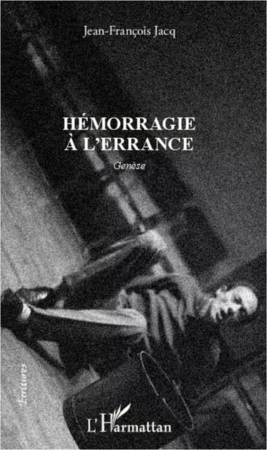 Hémorragie à l'errance - Jean-François Jacq - Editions L'Harmattan