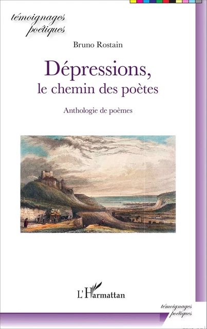 Dépressions, le chemin des poètes - Bruno Rostain - Editions L'Harmattan