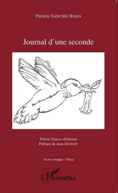 Journal d'une seconde - Patricio Sanchez - Editions L'Harmattan