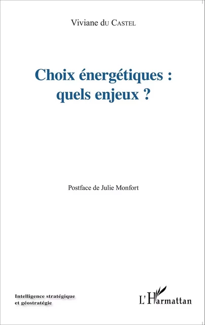 Choix énergétiques : quels enjeux? - Viviane du Castel - Editions L'Harmattan