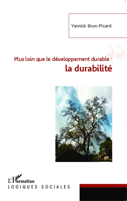 Plus loin que le développement durable : la durabilité - Yannick Brun-Picard - Editions L'Harmattan