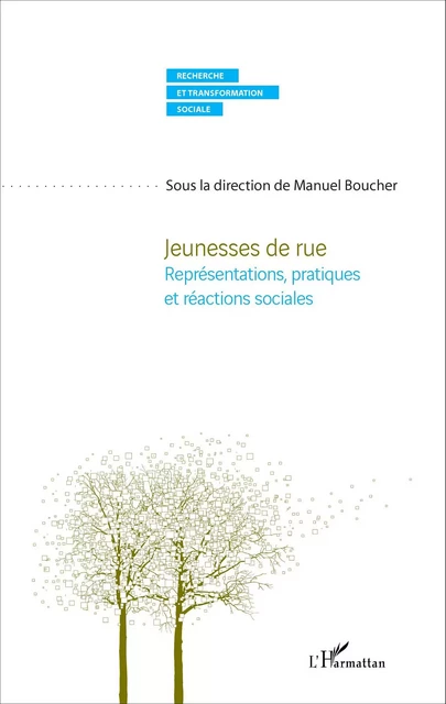 Jeunesses de rue - Manuel Boucher - Editions L'Harmattan