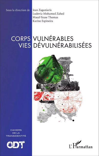 Corps vulnérables vies dévulnérabilisées - Jean Zaganiaris, Maud-Yeuse Thomas,  Espineira karine, Ludovic Lotfi Mohamed Zahed - Editions L'Harmattan