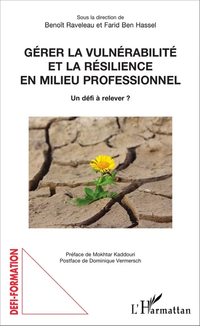 Gérer la vulnérabilité et la résilience en milieu professionnel - Benoît Raveleau, Farid Ben Hassel - Editions L'Harmattan