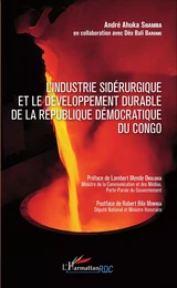 Industrie sidérurgique et le développement durable de la République démocratique du Congo