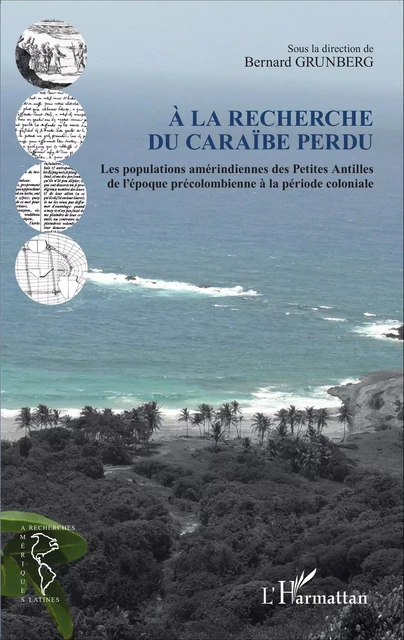 À la recherche du Caraïbe perdu -  Grunberg bernard - Editions L'Harmattan