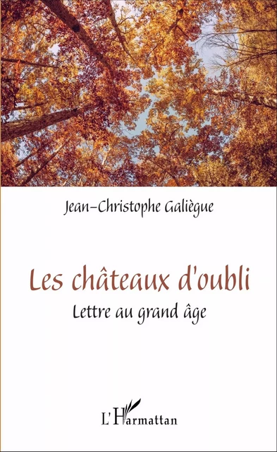 Les châteaux d'oubli - Jean-Christophe Galiegue - Editions L'Harmattan