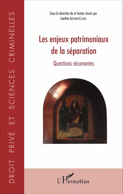 Les enjeux patrimoniaux de la séparation - Laetitia Antonini-Cochin - Editions L'Harmattan