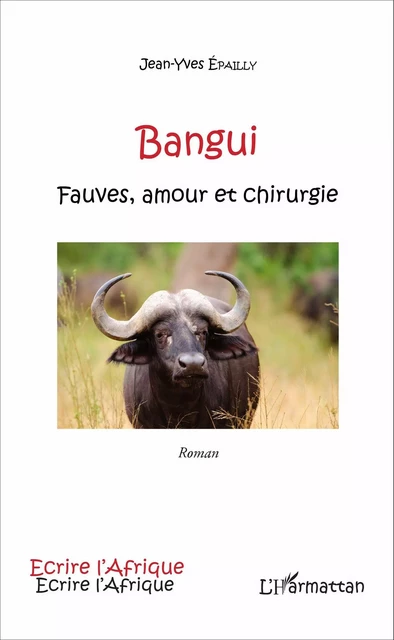 Bangui - Jean-Yves Épailly - Editions L'Harmattan