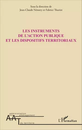 Les instruments de l'action publique et les dispositifs territoriaux