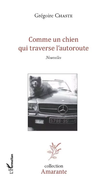 Comme un chien qui traverse l'autoroute - Grégoire Chaste - Editions L'Harmattan