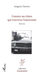 Comme un chien qui traverse l'autoroute