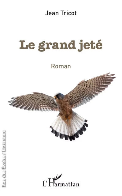 Le grand jeté - Jean Tricot - Editions L'Harmattan