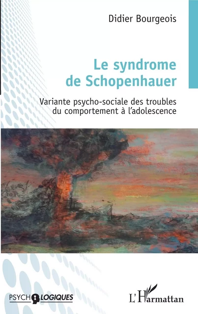 Le syndrome de Schopenhauer - Didier Bourgeois - Editions L'Harmattan