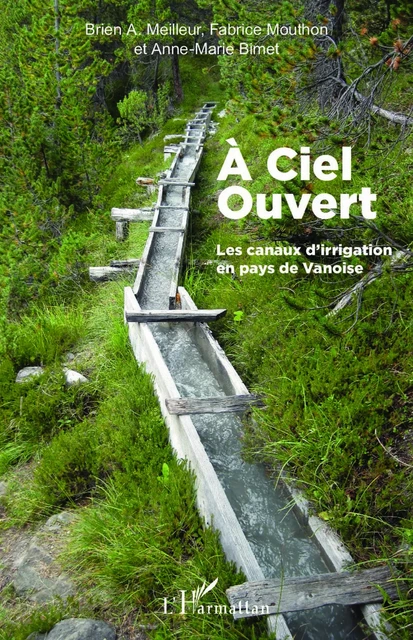 A ciel ouvert - Brien Meilleur, Fabrice Mouthon, Anne-Marie Bimet - Editions L'Harmattan