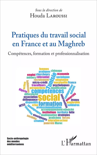 Pratiques du travail social en France et au Maghreb - Houda Laroussi - Editions L'Harmattan