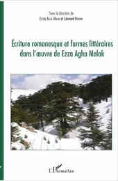 Ecriture romanesque et formes littéraires dans l'oeuvre de Ezza Agha Malak