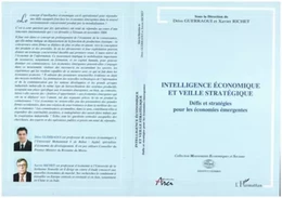 Intelligence économique et veille stratégique