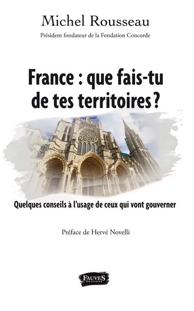 France : que fais-tu de tes territoires ? - Michel Rousseau - Fauves editions