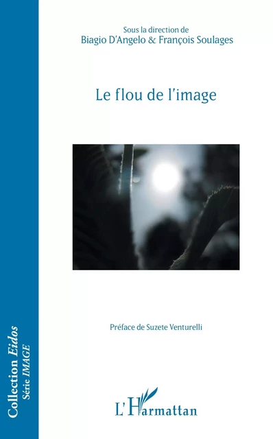 Le flou de l'image - François Soulages, Biagio D'Angelo - Editions L'Harmattan