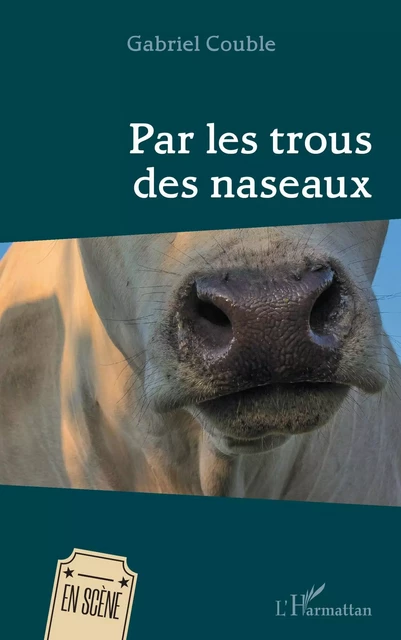 Par les trous des naseaux - Gabriel Couble - Editions L'Harmattan