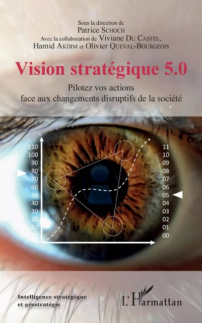 Vision stratégique 5.0 - Patrice Schoch, Viviane Du Castel, Hamid Akdim, Olivier Queval-Bourgeois - Editions L'Harmattan