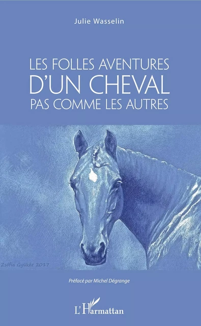 Les Folles aventures d'un cheval pas comme les autres - Julie Wasselin Degrange - Editions L'Harmattan