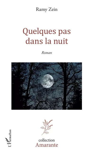 Quelques pas dans la nuit - Ramy Zein - Editions L'Harmattan