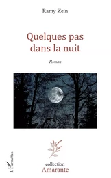 Quelques pas dans la nuit