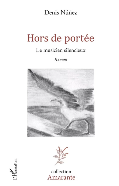 Hors de portée - Denis Nuñez - Editions L'Harmattan