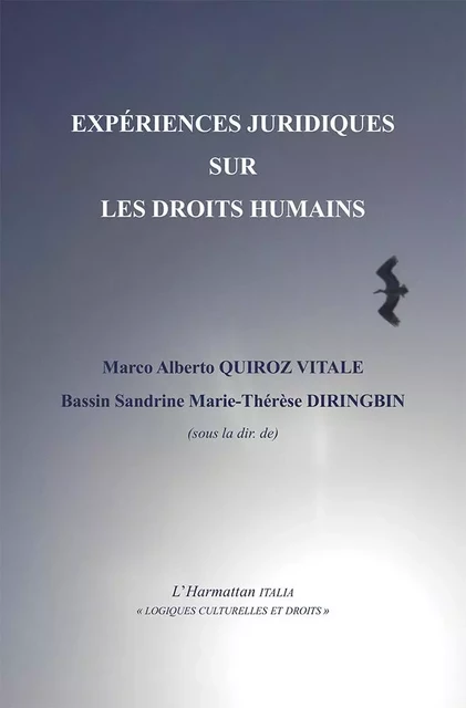 Expériences juridiques sur les droits humains - Marco Alberto Quiroz Vitale, Bassin Sandrine Marie-Thérèse Diringbin - Editions L'Harmattan