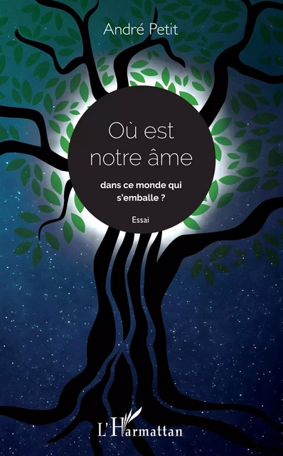 Où est notre âme dans ce monde qui s'emballe ? Essai - André Petit - Editions L'Harmattan