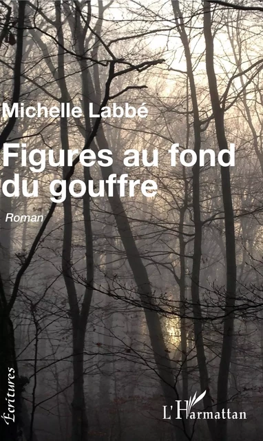 Figures au fond du gouffre - Michelle Labbé - Editions L'Harmattan