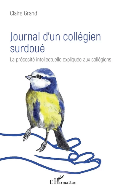 Journal d'un collégien surdoué - Claire Grand - Editions L'Harmattan